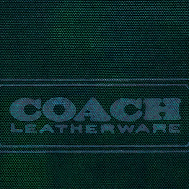COACH Pouch Tech 30