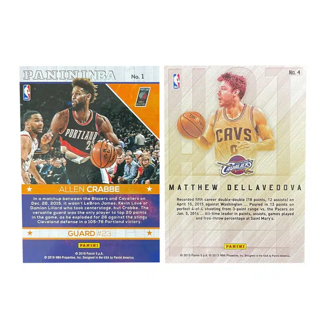 PANINI 2015-16 hot 2