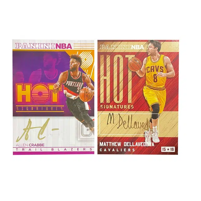 PANINI 2015-16 hot 2
