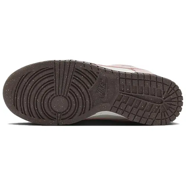 Nike Dunk Low Double Swoosh Dunks
