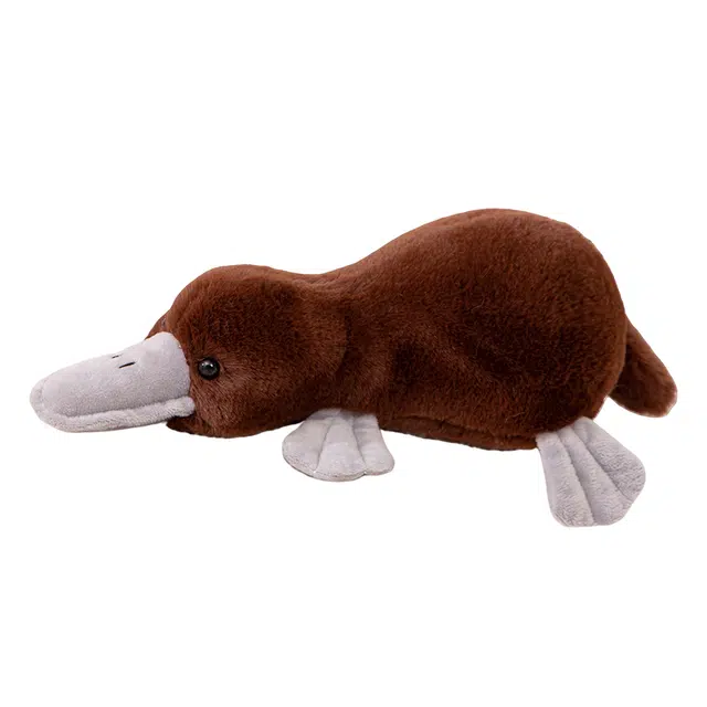 39cm