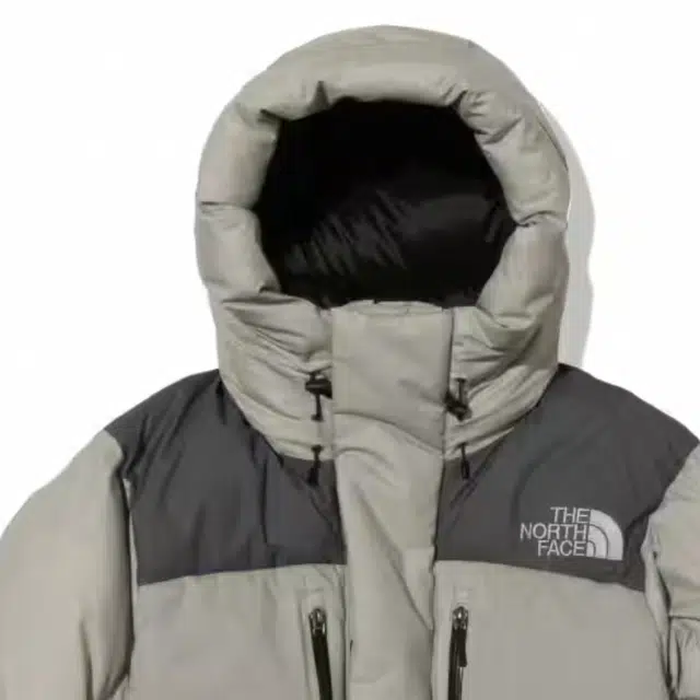 THE NORTH FACE Baltro Light Jacket Logo