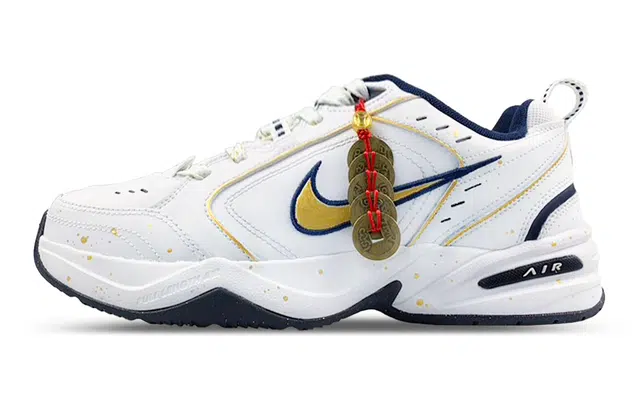 Nike Air Monarch 4 LQ