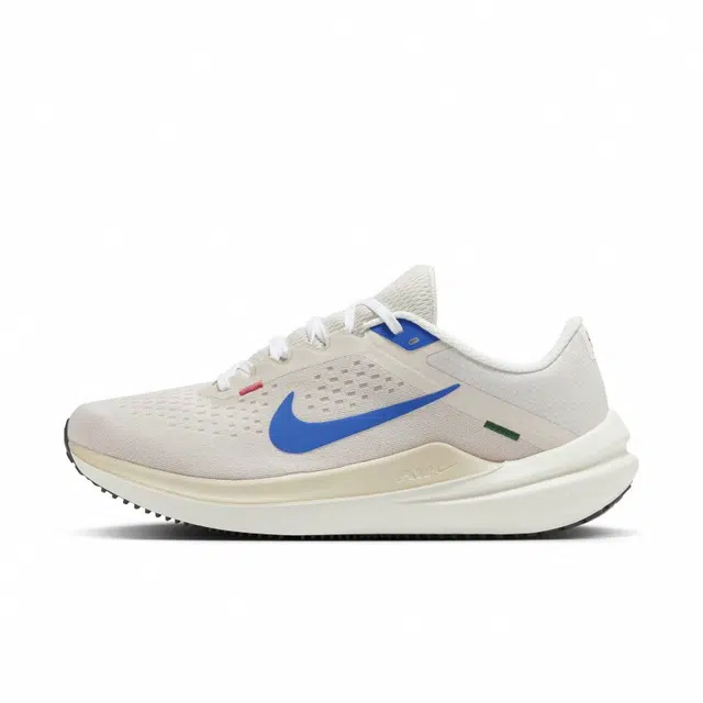 Nike Air Winflo 10 Y2K