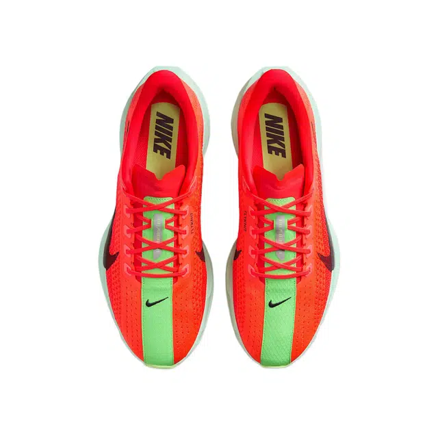 Nike Pegasus Plus