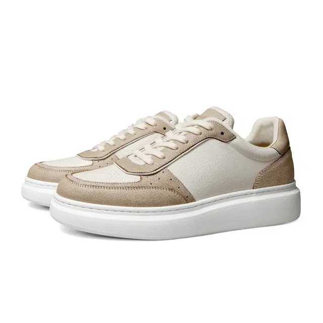 THOM WILLS Trainer