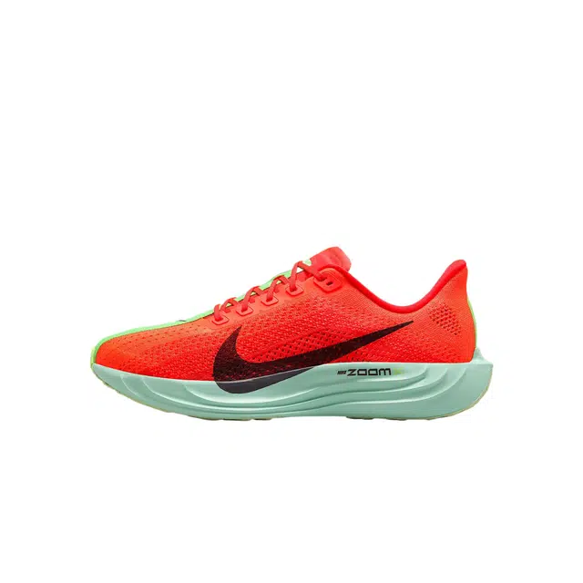 Nike Pegasus Plus