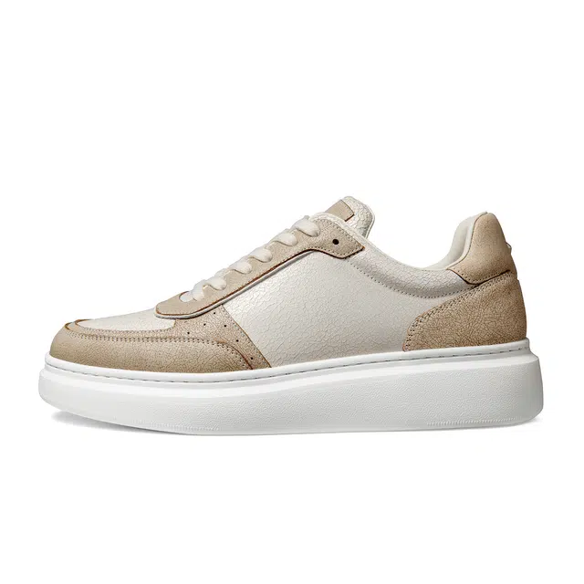 THOM WILLS Trainer