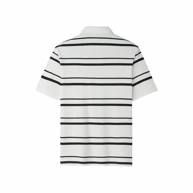 HLA POLO