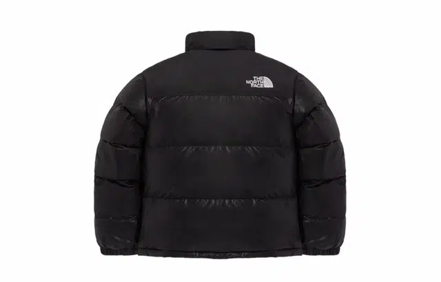 THE NORTH FACE Nuptse 811