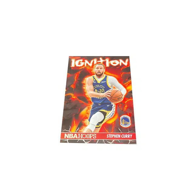 PANINI hoops