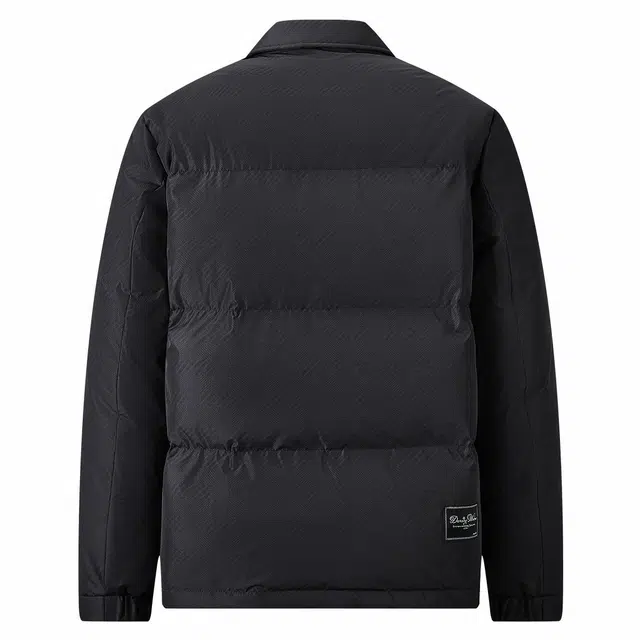 与狼共舞 潮流时尚翻领羽绒服 男款