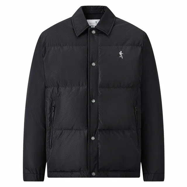 与狼共舞 潮流时尚翻领羽绒服 男款