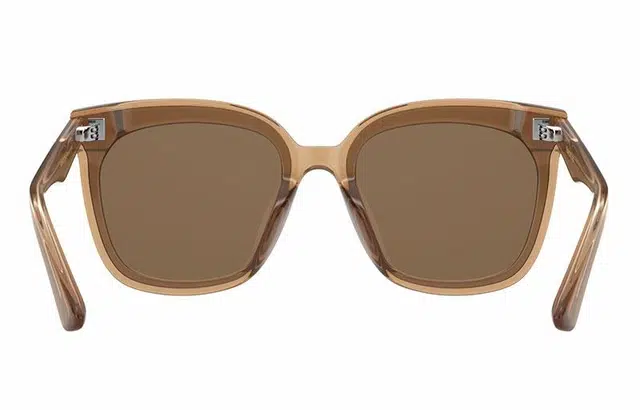PARZIN Sunglasses