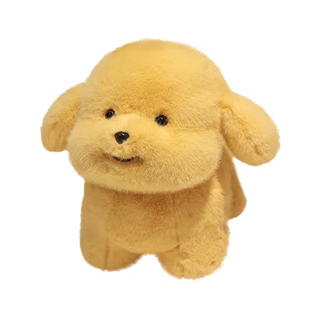 abay 20cm30cm