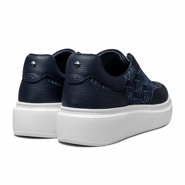 THOM WILLS trainer