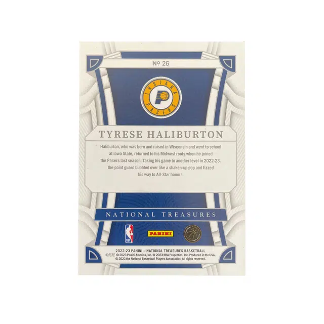 PANINI 2022-23 1075