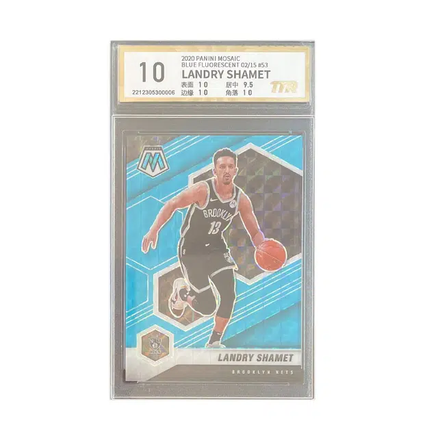 PANINI 2020-21 0215 TTR 10