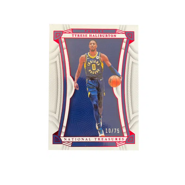 PANINI 2022-23 1075