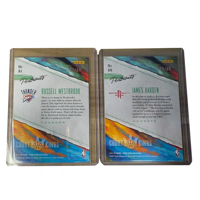 PANINI 2017-2018 65