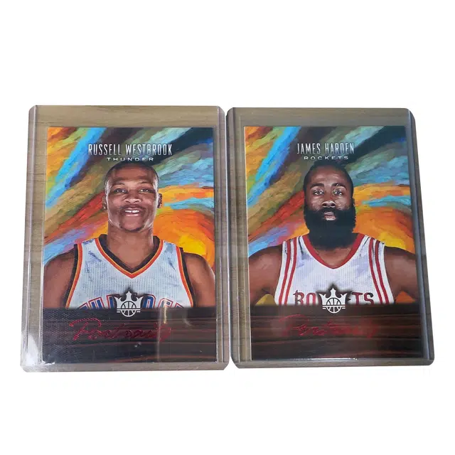 PANINI 2017-2018 65