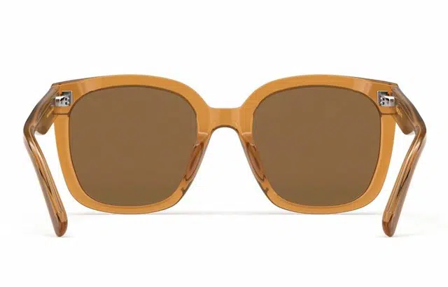 PARZIN Polarized Sunglasses