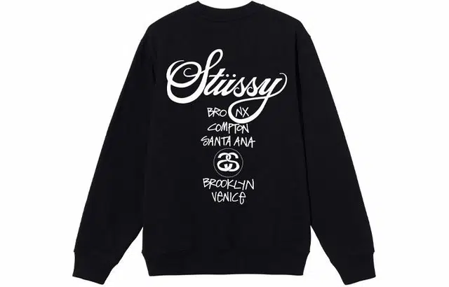 Stussy x DSM Logo