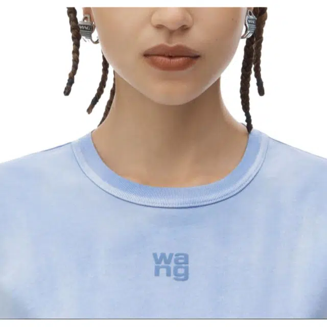 alexander wang FW24 T