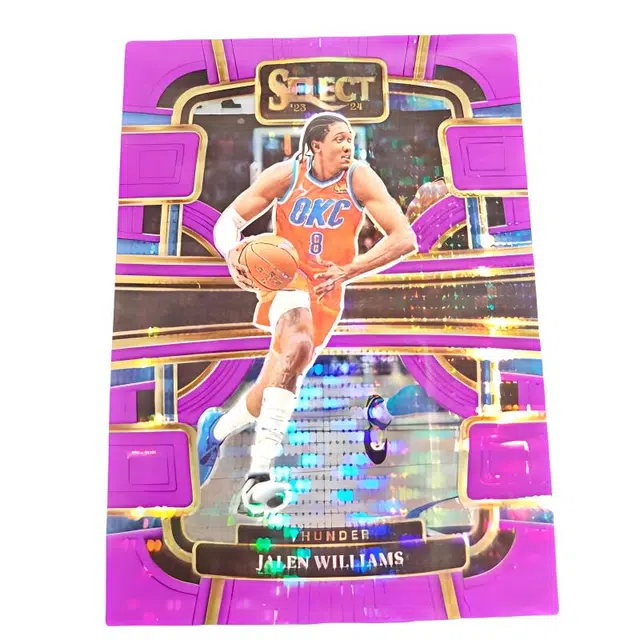 PANINI 2023-24 select 15