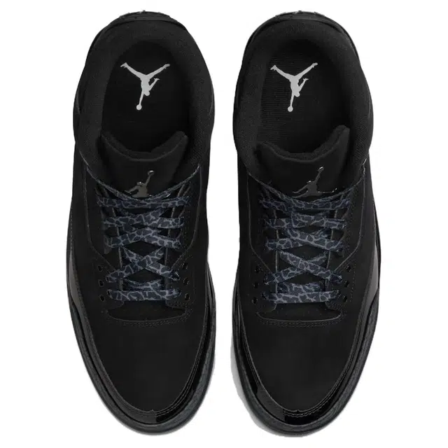 Air Jordan 3 Black Cat