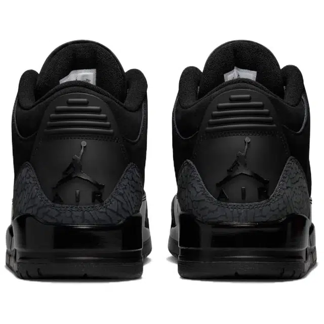 Air Jordan 3 Black Cat