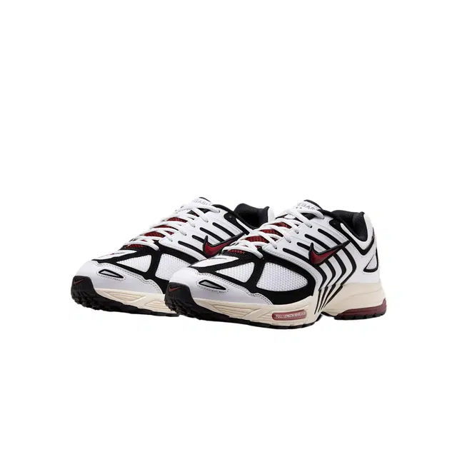 Nike Air Pegasus 2005