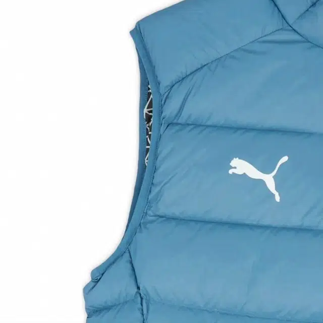 PUMA 2022-23 Logo