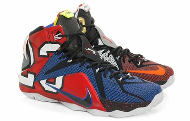 Nike Lebron 12 SE EP What the LeBron 12