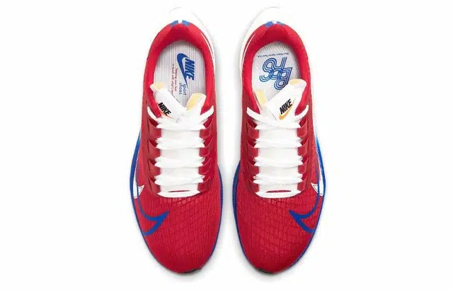 Nike Pegasus 37