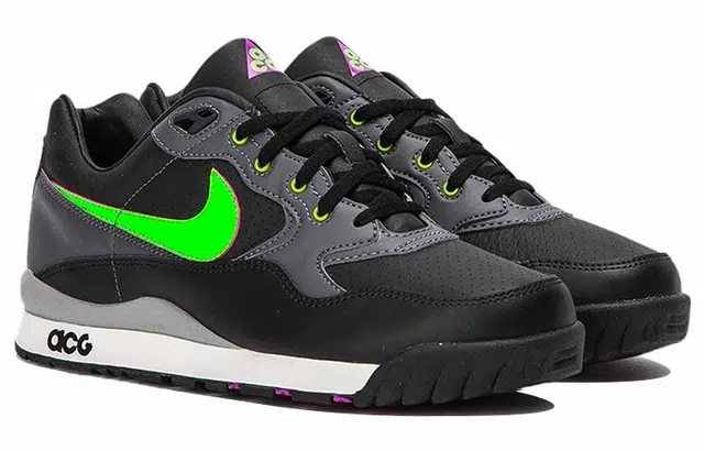 Nike Air Wildwood ACG