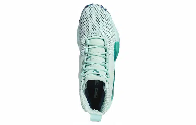 adidas D lillard 5