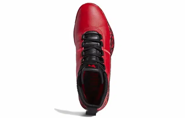 adidas D lillard 5 5