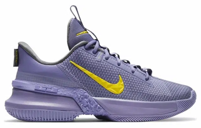 Nike Ambassador 13 LeBron Lakers 13