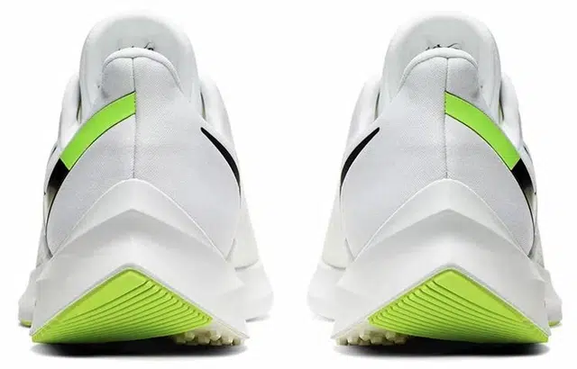 Nike Zoom Winflo 6
