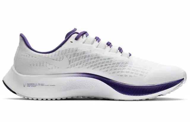 Nike Pegasus 37 "Minnesota Vikings"