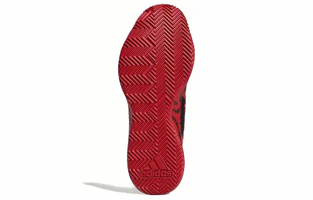 adidas D lillard 5 5