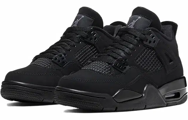 Jordan Air Jordan 4 2020