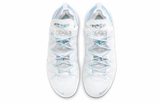 Nike Lebron 18