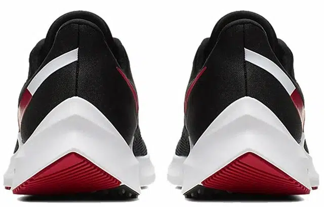 Nike Zoom Winflo 6