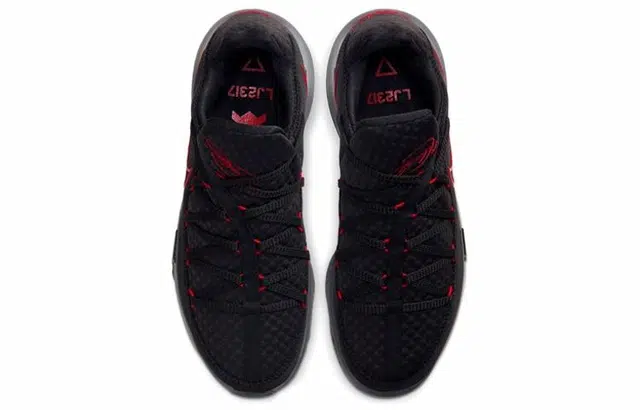 Nike Lebron 17