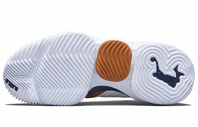 Nike Lebron 16 Air Trainer