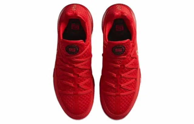 Nike Lebron 17 Low PH EP