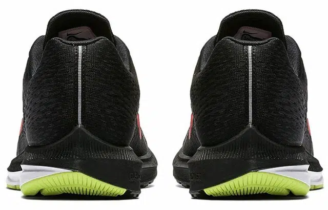 Nike Zoom Winflo 5