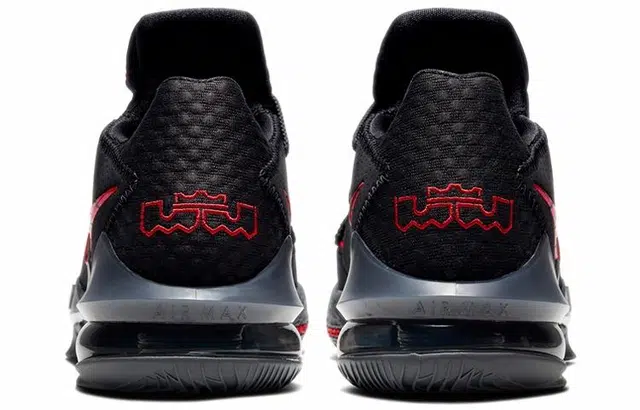Nike Lebron 17